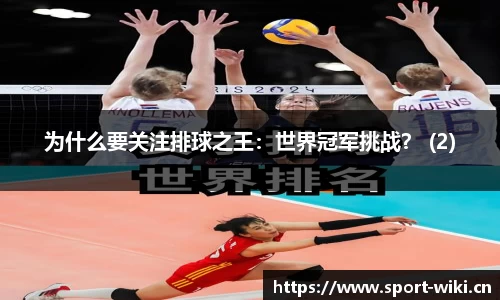 维基体育官方网站