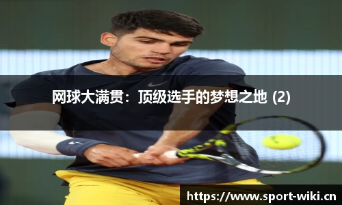 网球大满贯：顶级选手的梦想之地 (2)